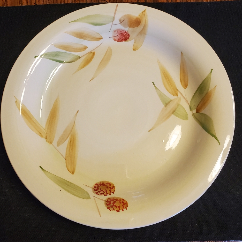 4️⃣🆕️🍃fall plates🍽🍂